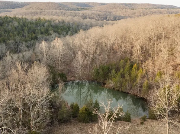 6366-6998 Chadwick Road, Chadwick, MO 65629