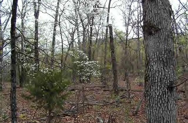 2nd image of 80 Acres