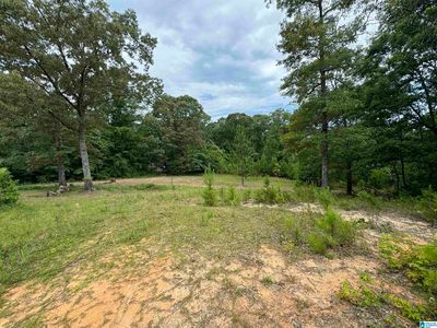3917 County Road 1113 #1, Troy, AL, 36079