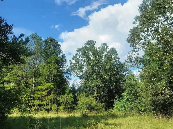 0 County Road 36 #1, Jemison, AL 35085