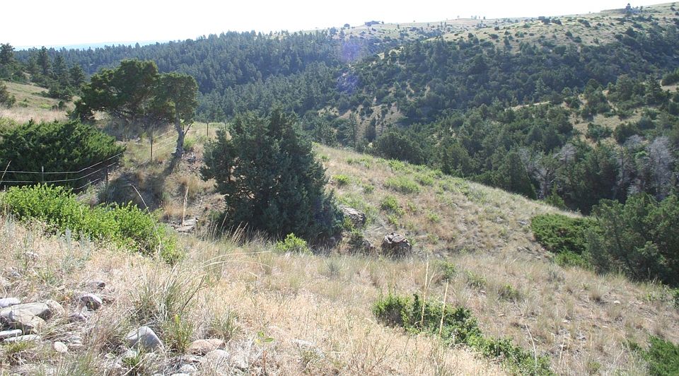 1st image of Lots 45  46 Palomino Trail