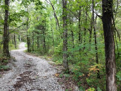County Road 99, Moulton, AL, 35650