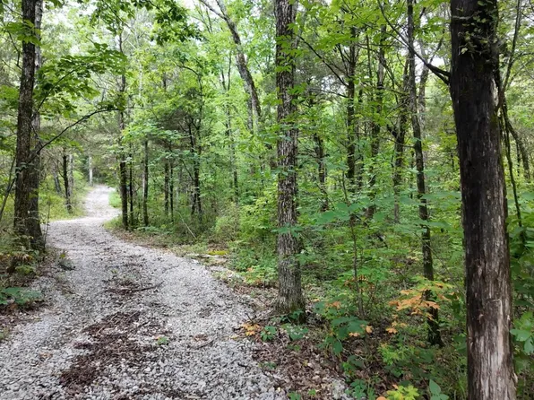 County Road 99, Moulton, AL 35650