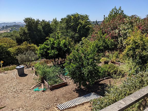 vegetable garden & fruit trees