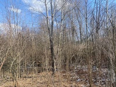 Hess Rd, Millington, MI, 48746