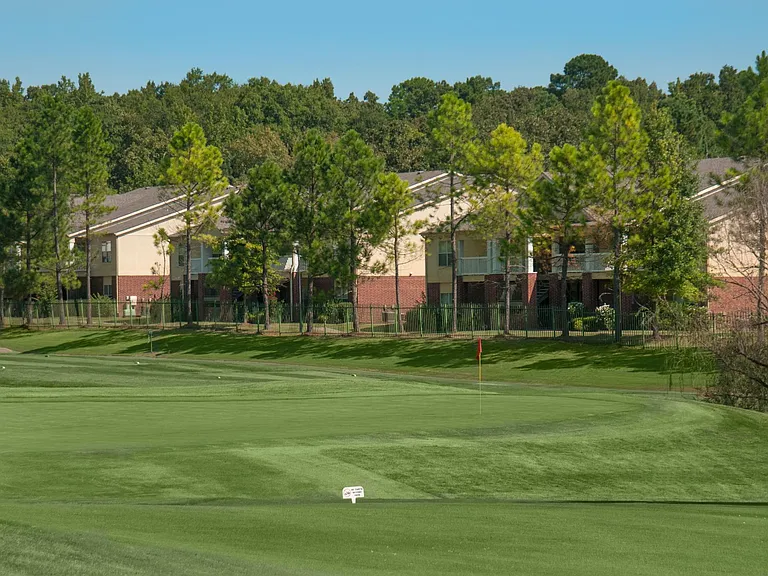 Eagle Nest — Photo 16