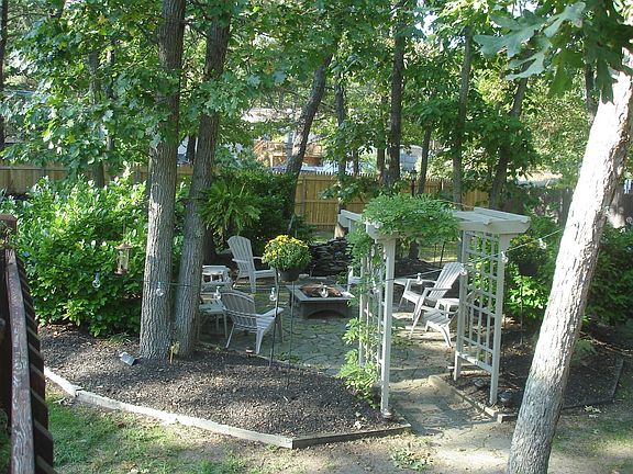Back yard