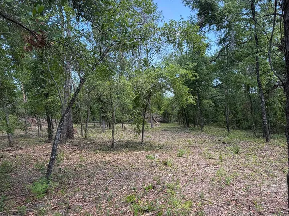 NE Ivy Dr, Lee, FL 32059