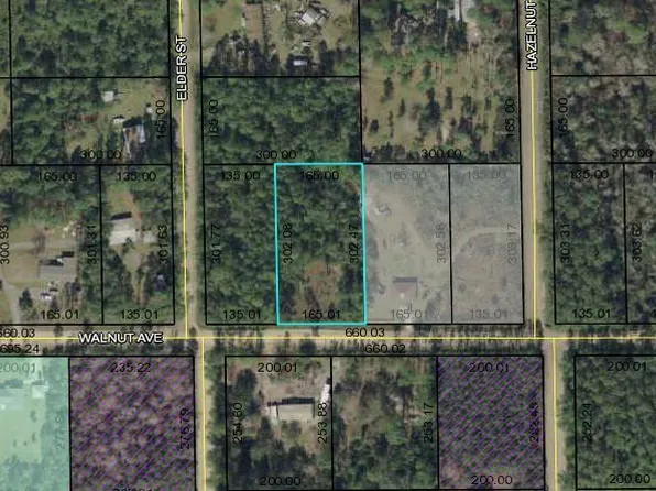 4790 Walnut Ave, Bunnell, FL 32110