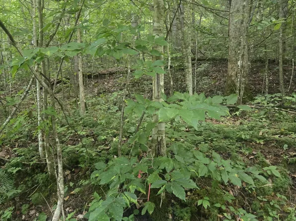 LOT 32 Twin Arch Resort Phase #3, Stanton, KY 40380