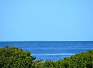 1020 Marsh View Ln, Tarpon Springs, FL 34689