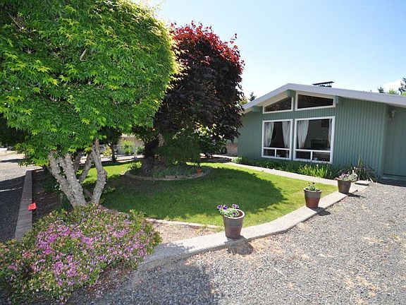 Stunning trees offer a little shade and privacy for your front door, and a lovely view out the front windows!