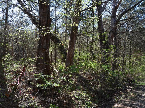 2nd image of 000 Persimmon Hill Lane