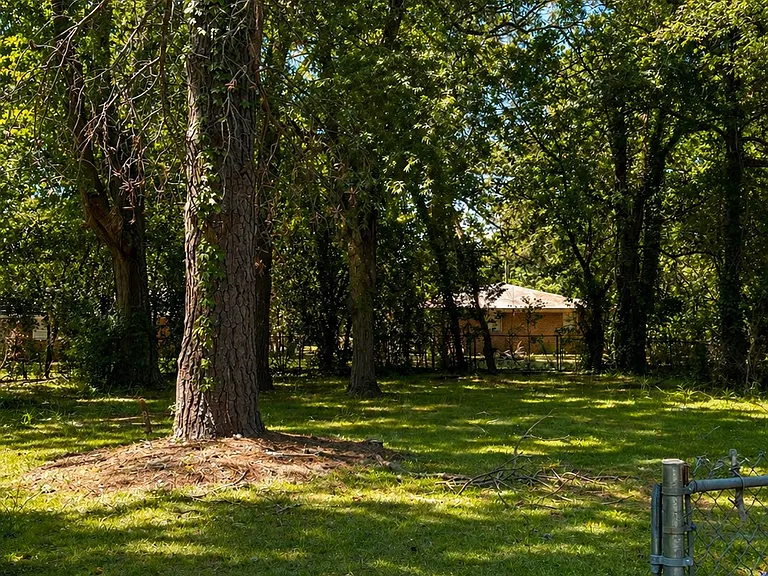 213 Johns Rd — Photo 8