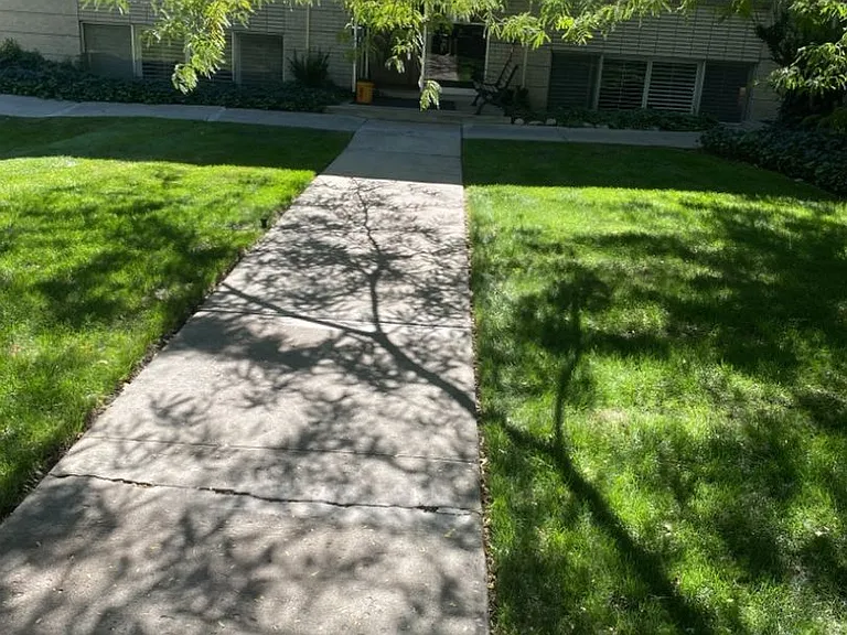 The Ray — Photo 112