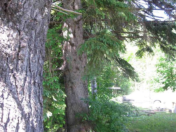 4th image of 42679 Willson Memorial Dr #U