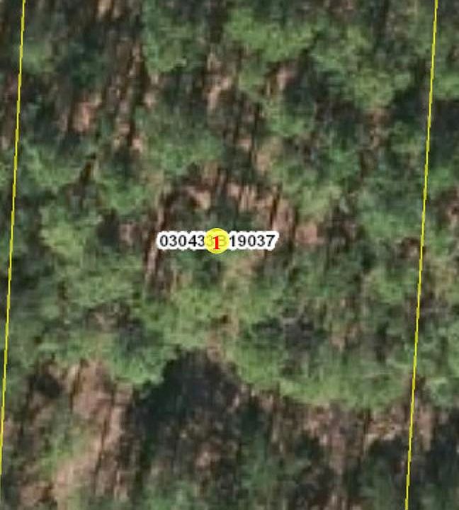 1st image of Lot 37 Wildlife Lane