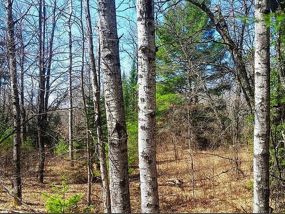 2nd image of 2 Lodge Lake Rd