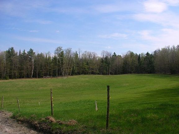 Spring Pasture