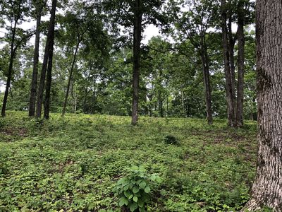 0 Powell Sullivan Rd, Franklin, TN, 37064