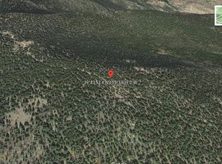 123 Lamartine Rd, Idaho Springs, CO 80452