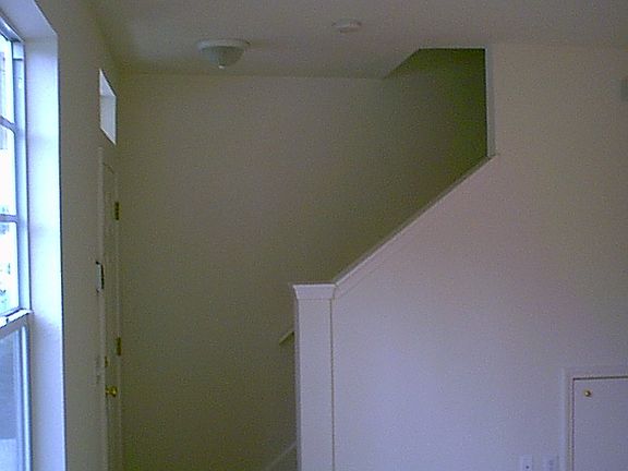 2nd image of 11046 Black Swan Ct #127161453
