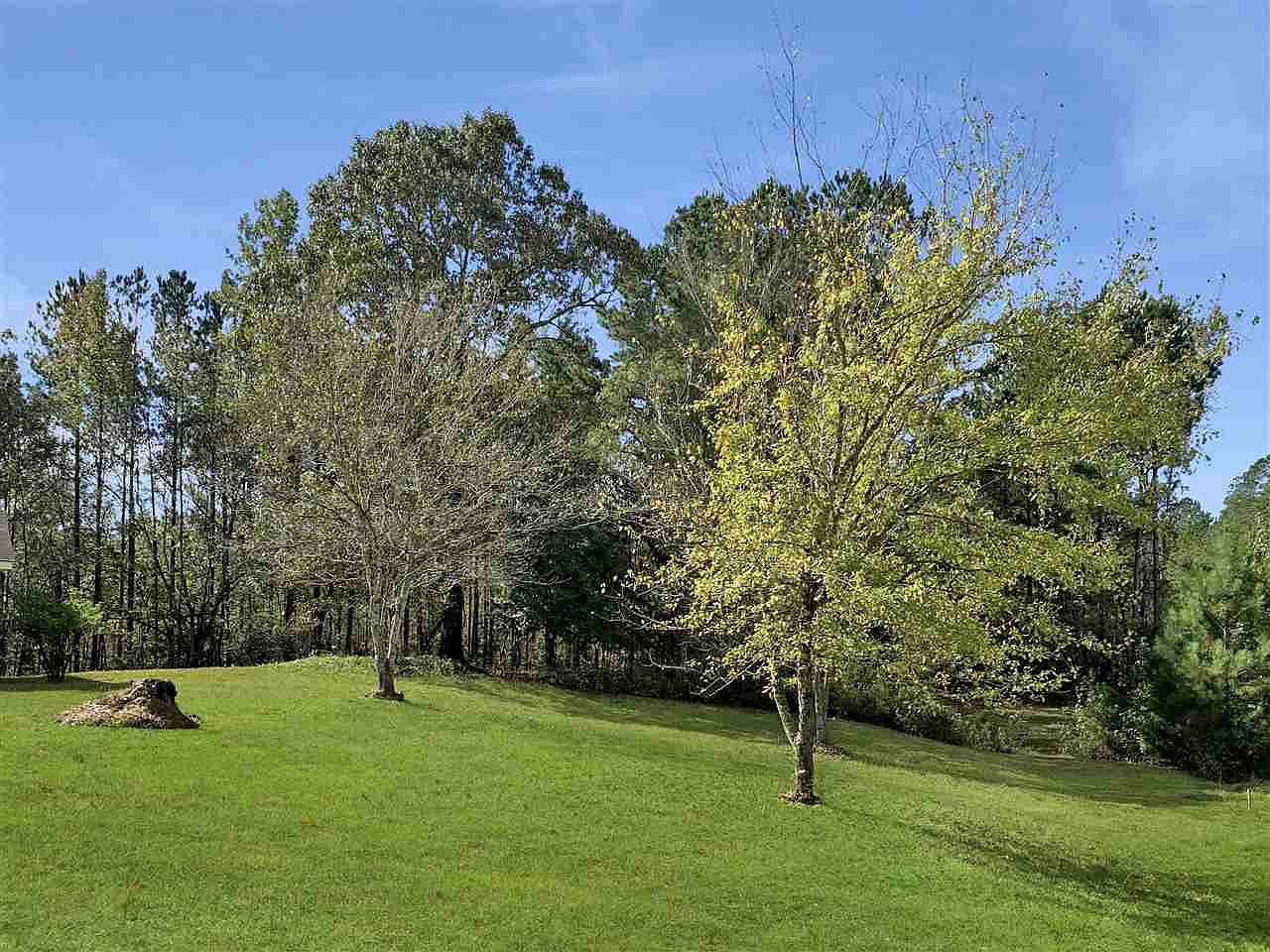 2022 Bywy Rd, Ackerman, MS 39735 Zillow