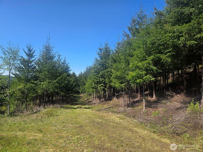 5th image of 7241 W Cloquallum Road