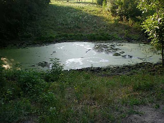 4th image of 0 Woodview Ln