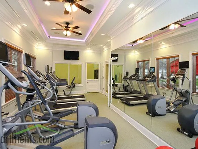 Briton Trace Apartments — Photo 49