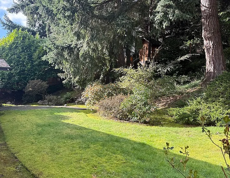 2329 129th Ave SE — Photo 27