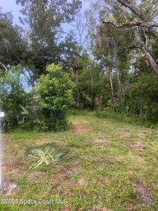 1723 Avenue B, Ormond Beach, FL, 32174