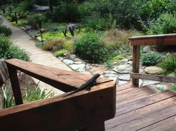 1168 Chandler Rd, Quincy, CA 95971