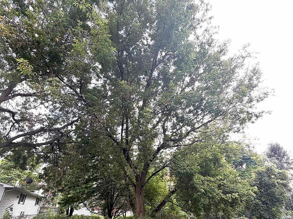 2nd image of 0 Mabel St