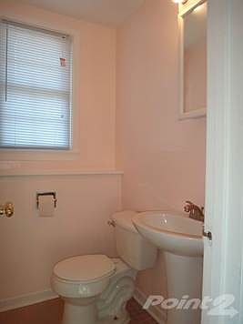 Lower Level Bathroom