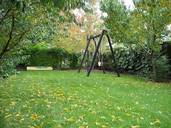 Back yard