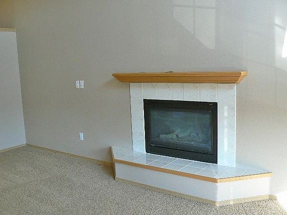 Gas Fireplace in Living Room