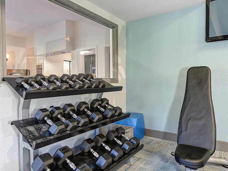 Free Weights In The Fitness Center