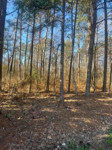 Walston Bridge Rd, Jasper, AL, 35504