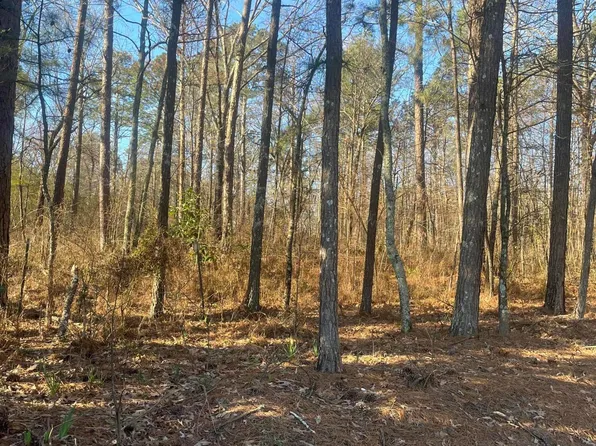 Walston Bridge Rd, Jasper, AL 35504