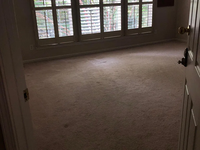 10308 Scotch Pine Cir — Photo 11