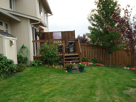 Backyard Privacy!