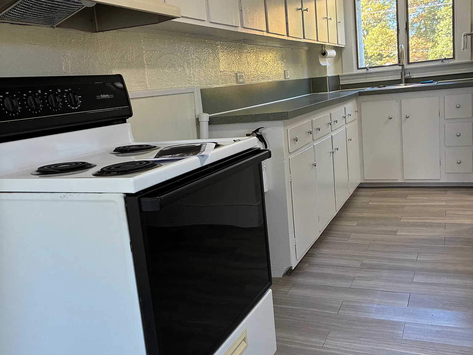 1 bed, 710 sqft, $1,950 — Photo 4
