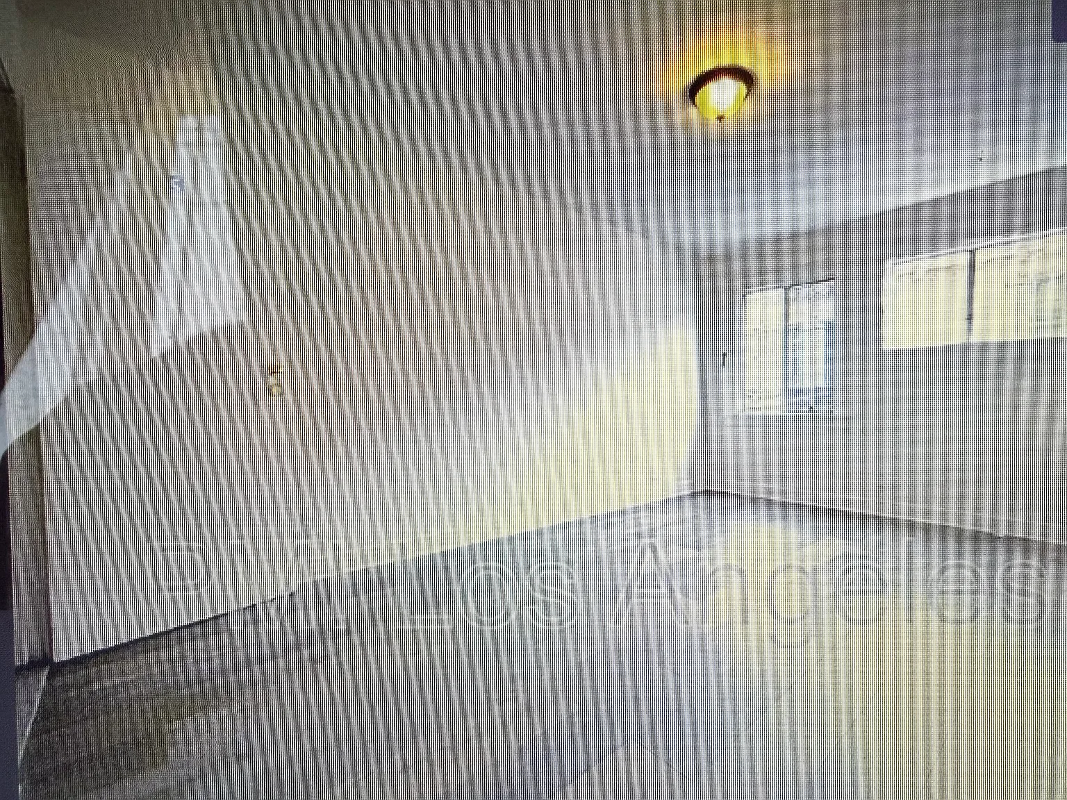 1 bed, $1,300 — Photo 2