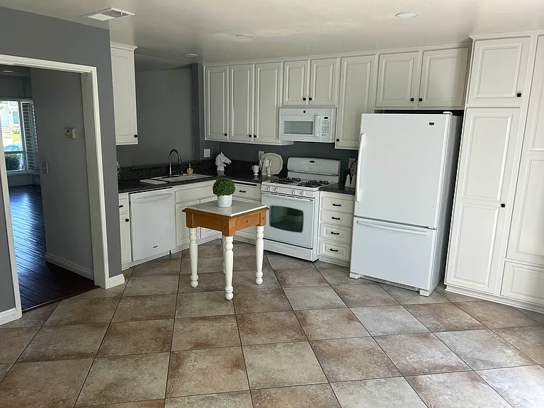 866 Hollyhock Ct — Photo 5