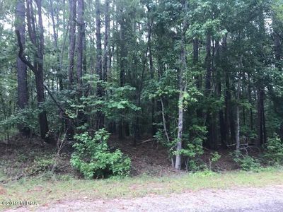 170 Honeysuckle Ln, Sparta, GA, 31087