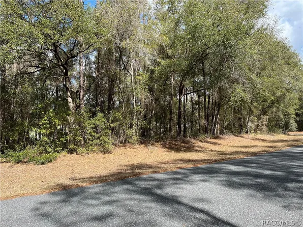 1415 Partridge St, Citrus Springs, FL 34434