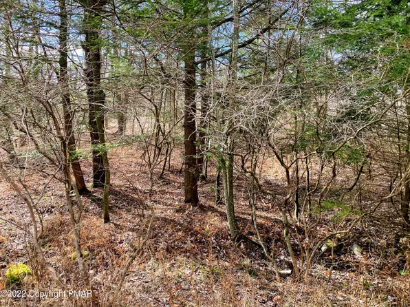 12 Driftwood Dr, Blakeslee, PA 18610