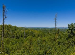 Walnut Mountain Rd, Roan Mountain, TN 37687