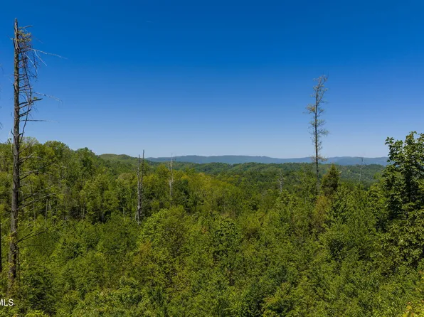 Walnut Mountain Rd, Roan Mountain, TN 37687